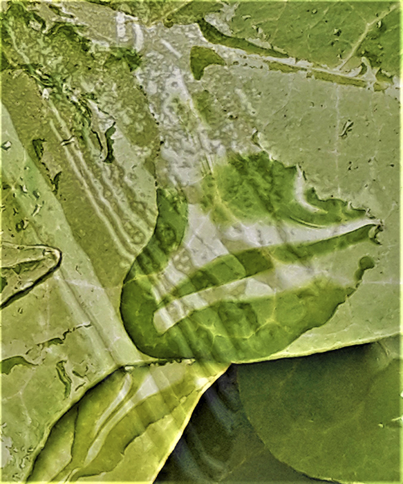 imagen 3. alejandra torres 2